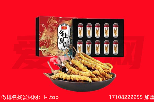 泰安泰山区回收虫草.jpg